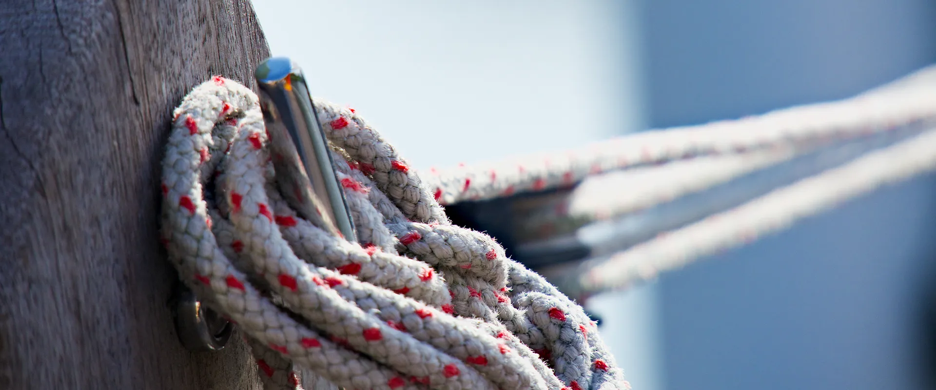 Section background image