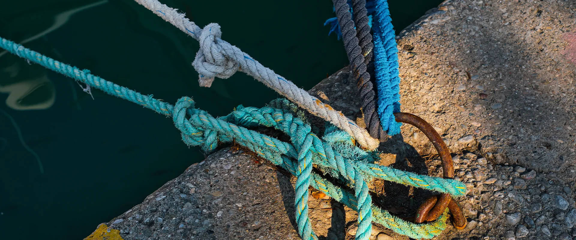 Section background image