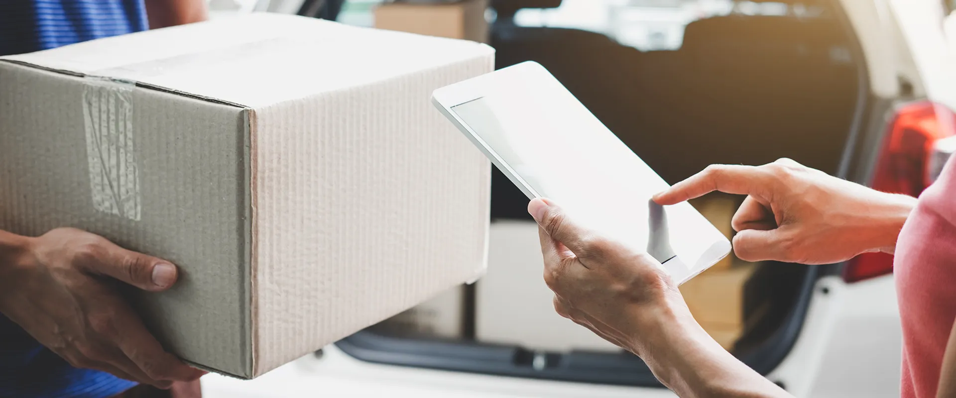 Section background image