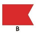 B Signal Code Flag
