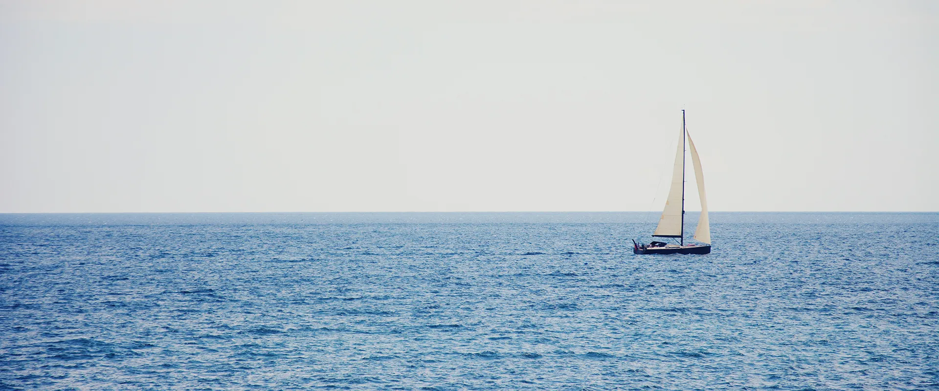 Section background image